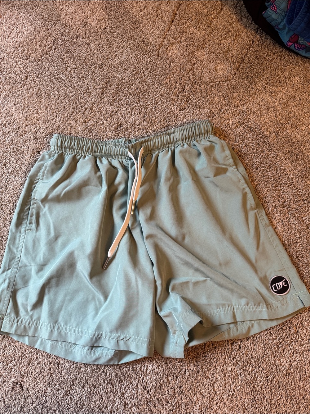 Cove Light Green Swim Shorts with White Size Tag